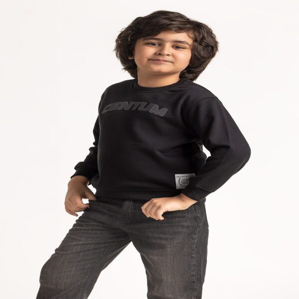 sweatshirt_kb-sws-ws24-002_jb_3_ sweatshirt_kb-sws-ws24-002_jb_3_